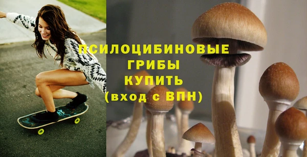 2c-b Алзамай