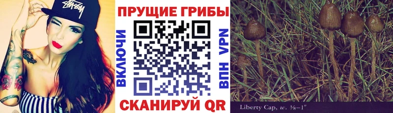 где купить наркоту  Инсар  Галлюциногенные грибы MAGIC MUSHROOMS 